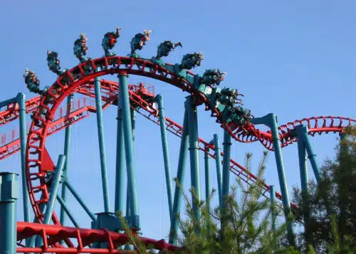 Small Business and Spatial Disorientation